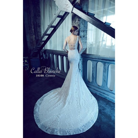 Calla Blanche Connie 18108 Wedding Gown Size 8 - Picture 2 of 11